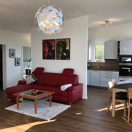 A&N Prestige Apartments "Attika" Close To Basel And Rhine River Ґренцах-Вілен Екстер'єр фото